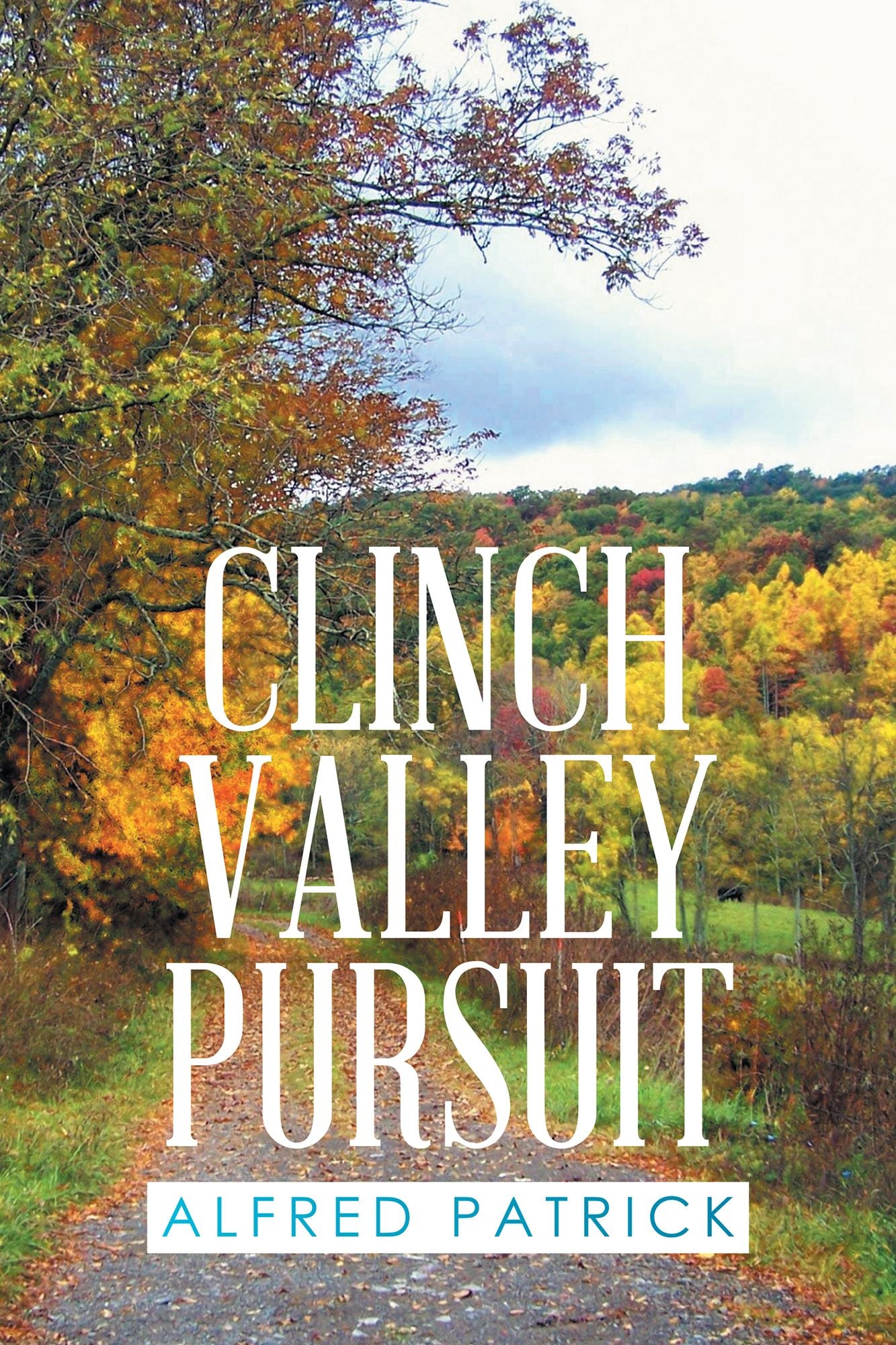 Clinch Valley Pursuit
