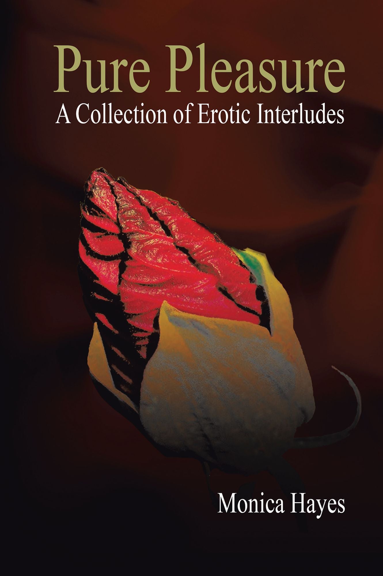 Pure Pleasure: A Collection of Erotic Interludes