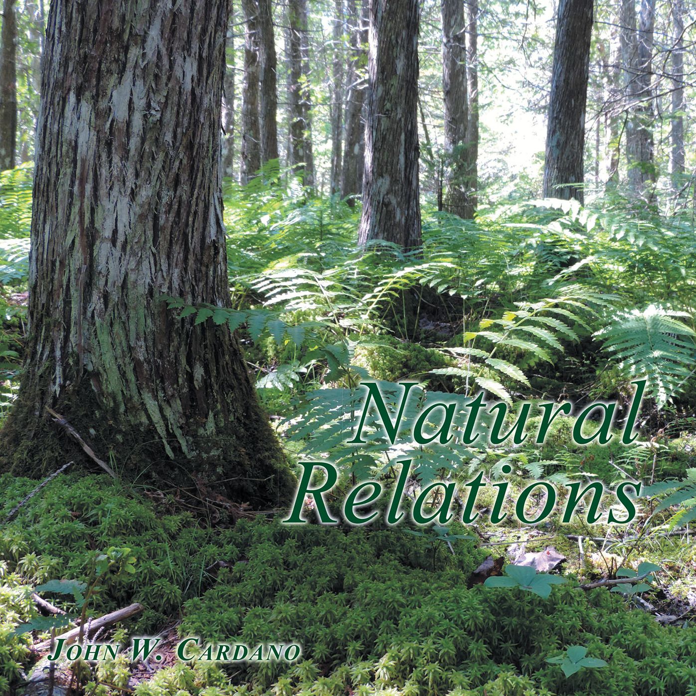 Natural Relations