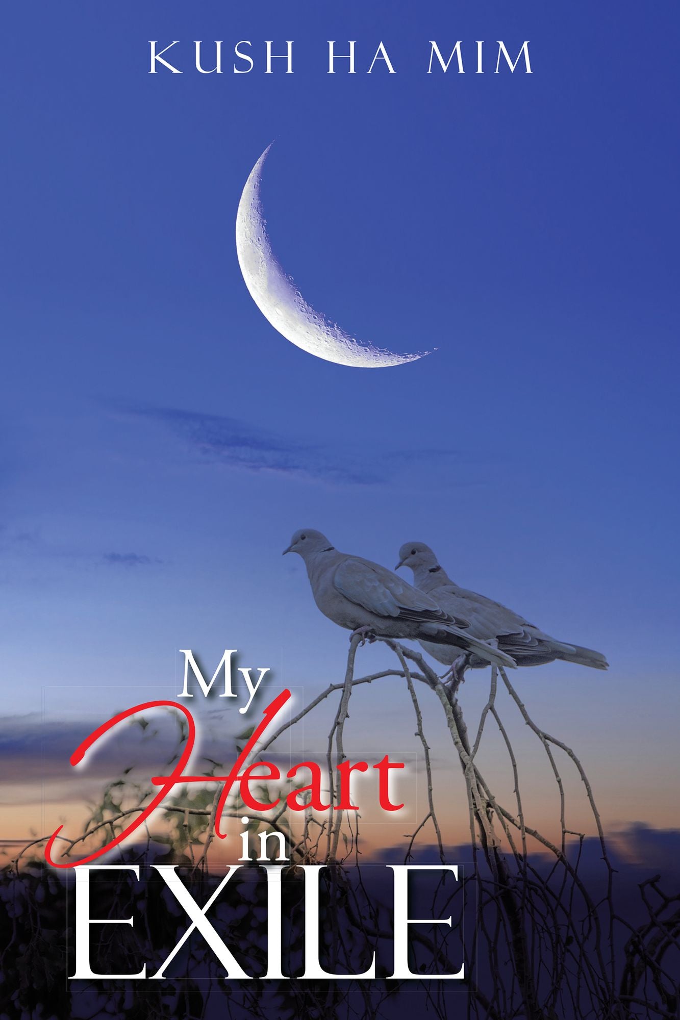 MY HEART IN EXILE
