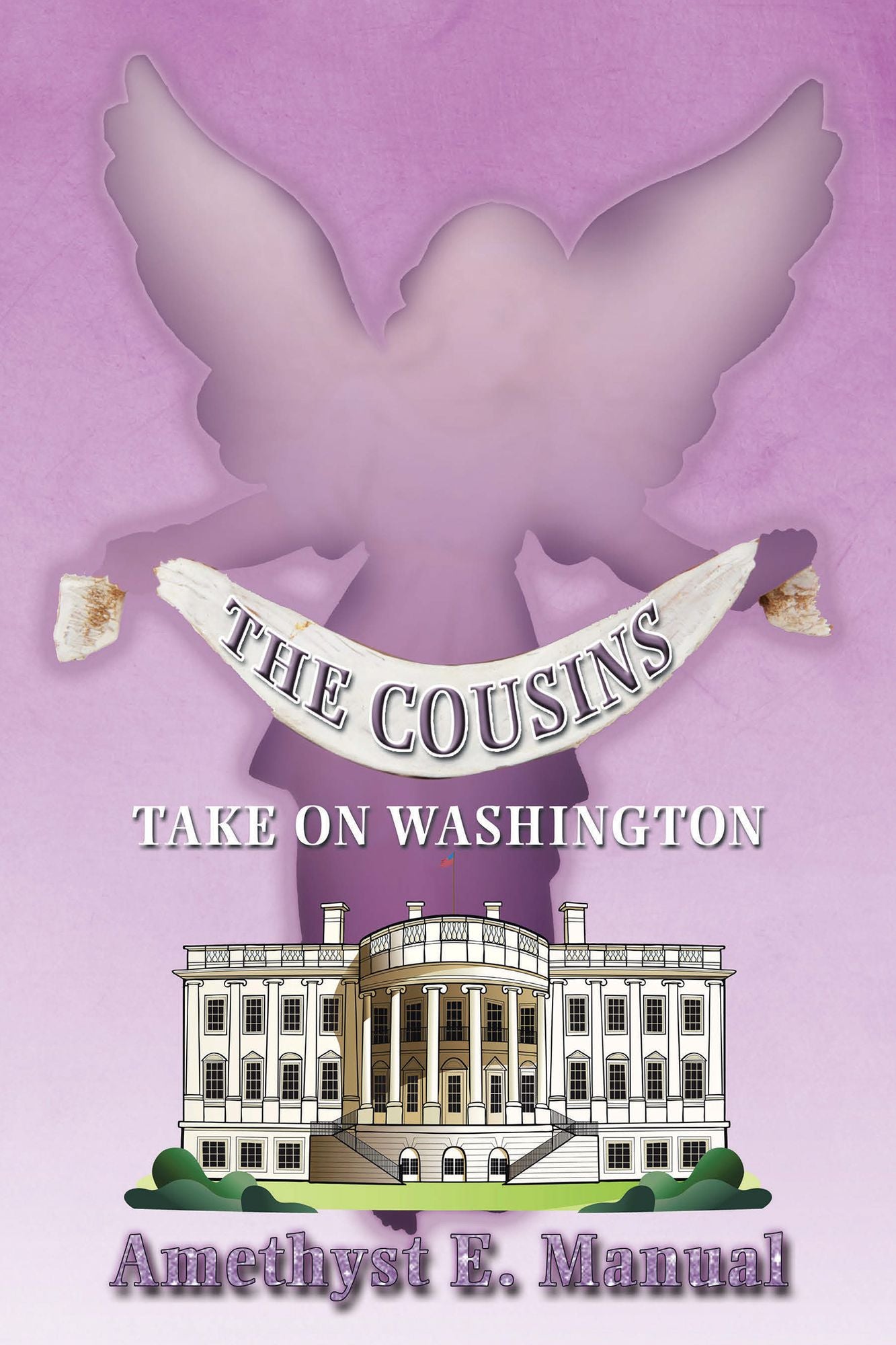 The Cousins: Take on Washington