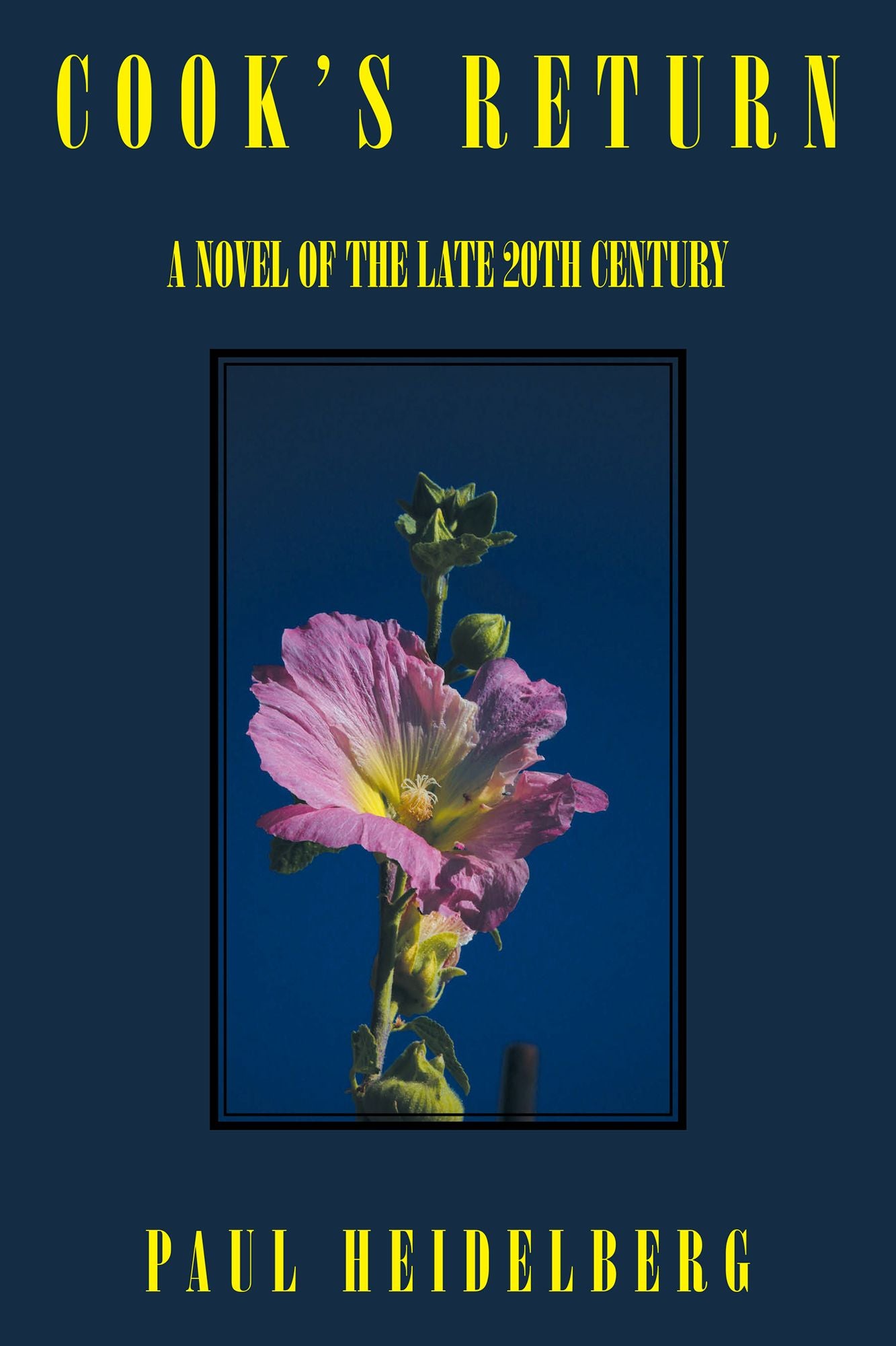COOK'S RETURN: A NOVEL OF THE LATE 20TH CENTURY