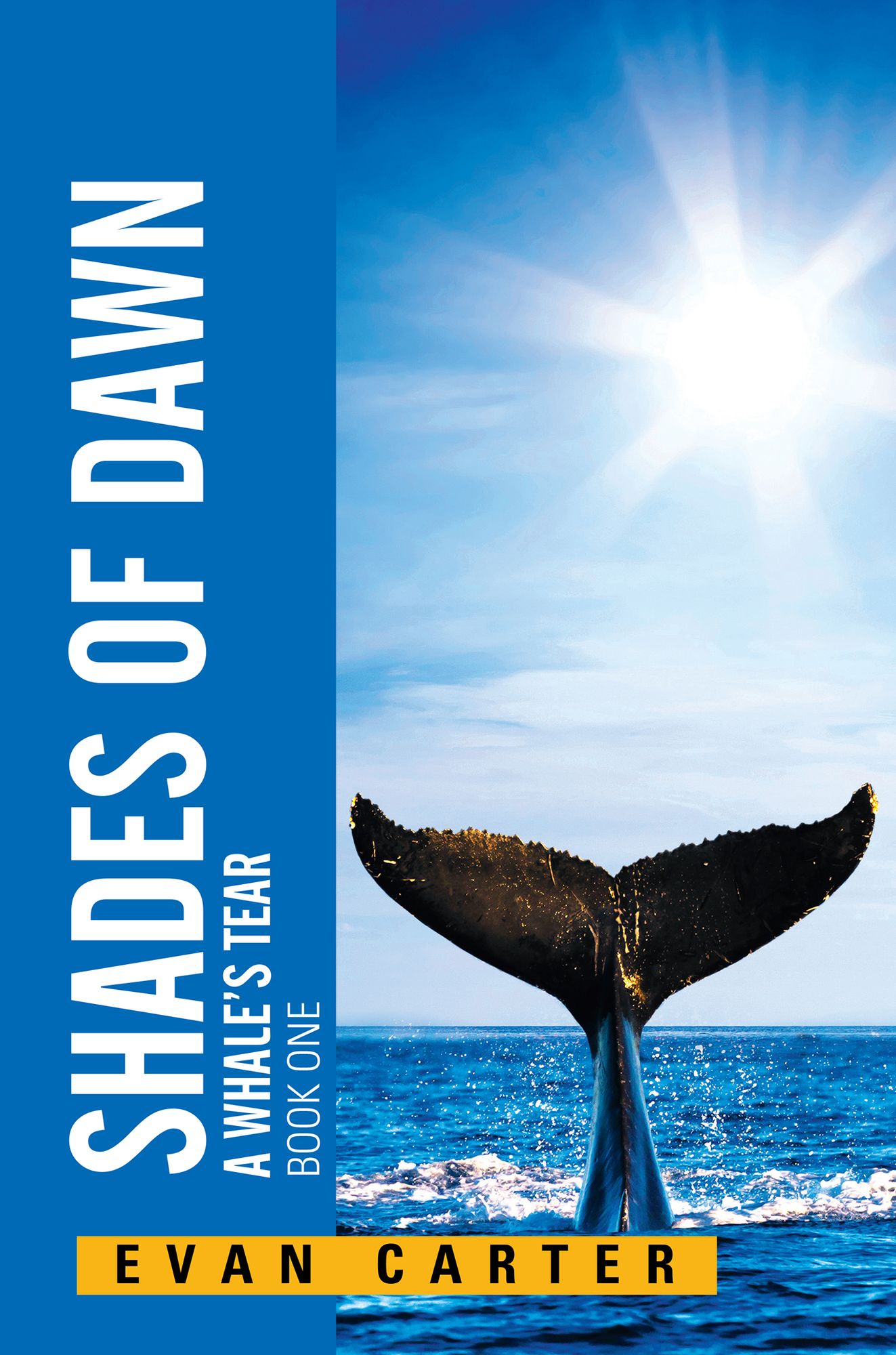 Shades of Dawn: A Whale's Tear