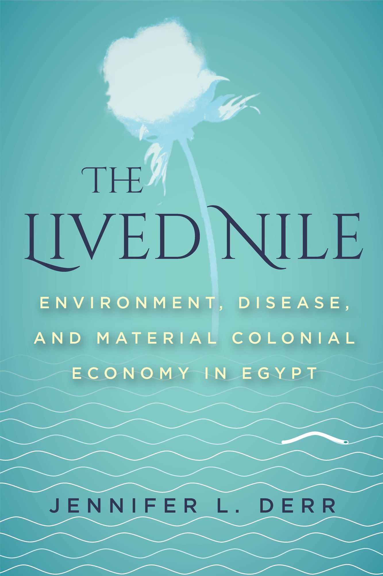 A New Nile: A History of Environment, Authority, and Disease in Egypt