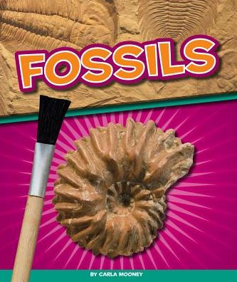 Fossils
