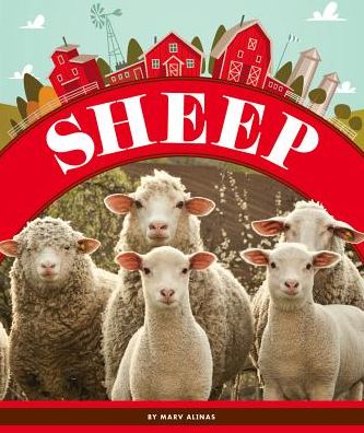 Sheep