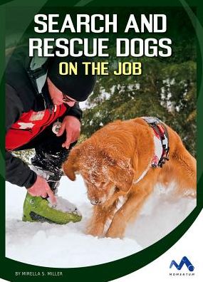 Search and Rescue Dogs on the Job