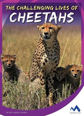The Challenging Lives of Cheetahs