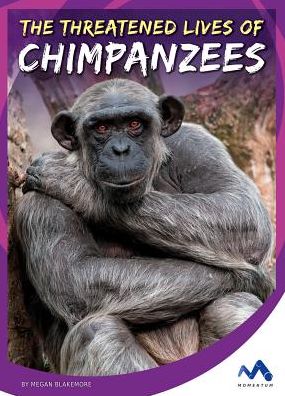 The Threatened Lives of Chimpanzees