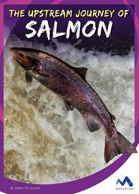 The Upstream Journey of Salmon