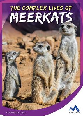 The Complex Lives of Meerkats