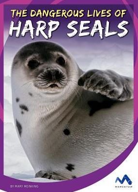 The Dangerous Lives of Harp Seals