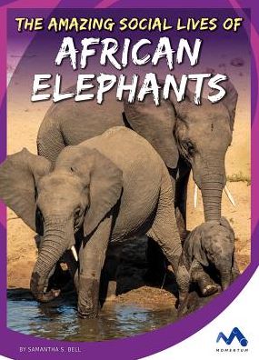 The Amazing Social Lives of African Elephants