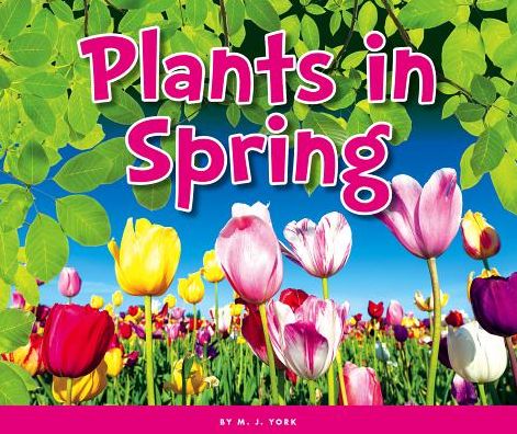 Plants in Spring