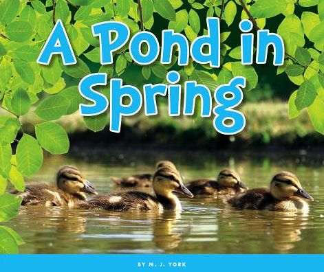 A Pond in Spring