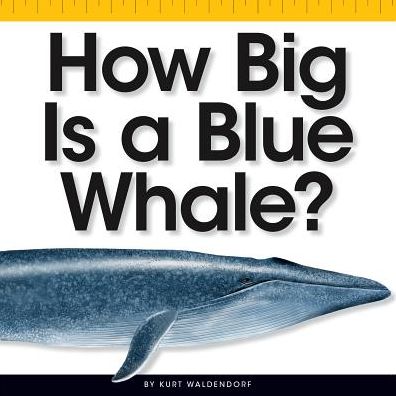 How Big Is a Blue Whale?