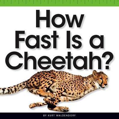 How Fast Is a Cheetah?