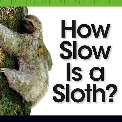 How Slow Is a Sloth?