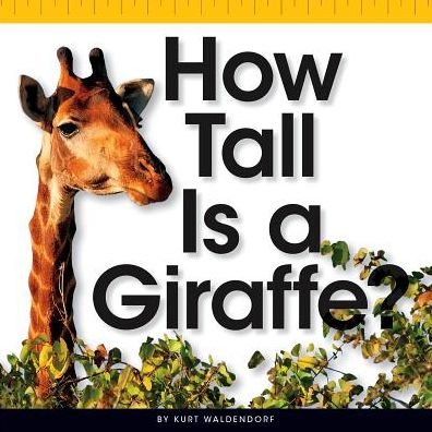 How Tall Is a Giraffe?