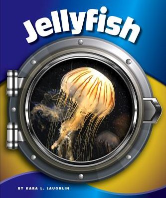 Jellyfish