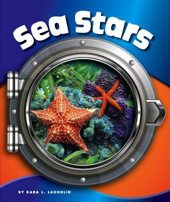 Sea Stars