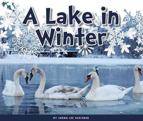 A Lake in Winter