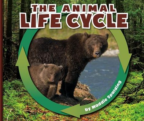 The Animal Life Cycle