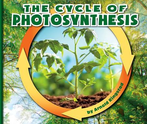 The Cycle of Photosynthesis
