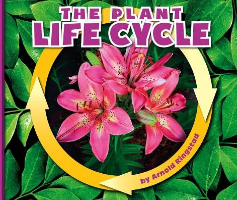 The Plant Life Cycle