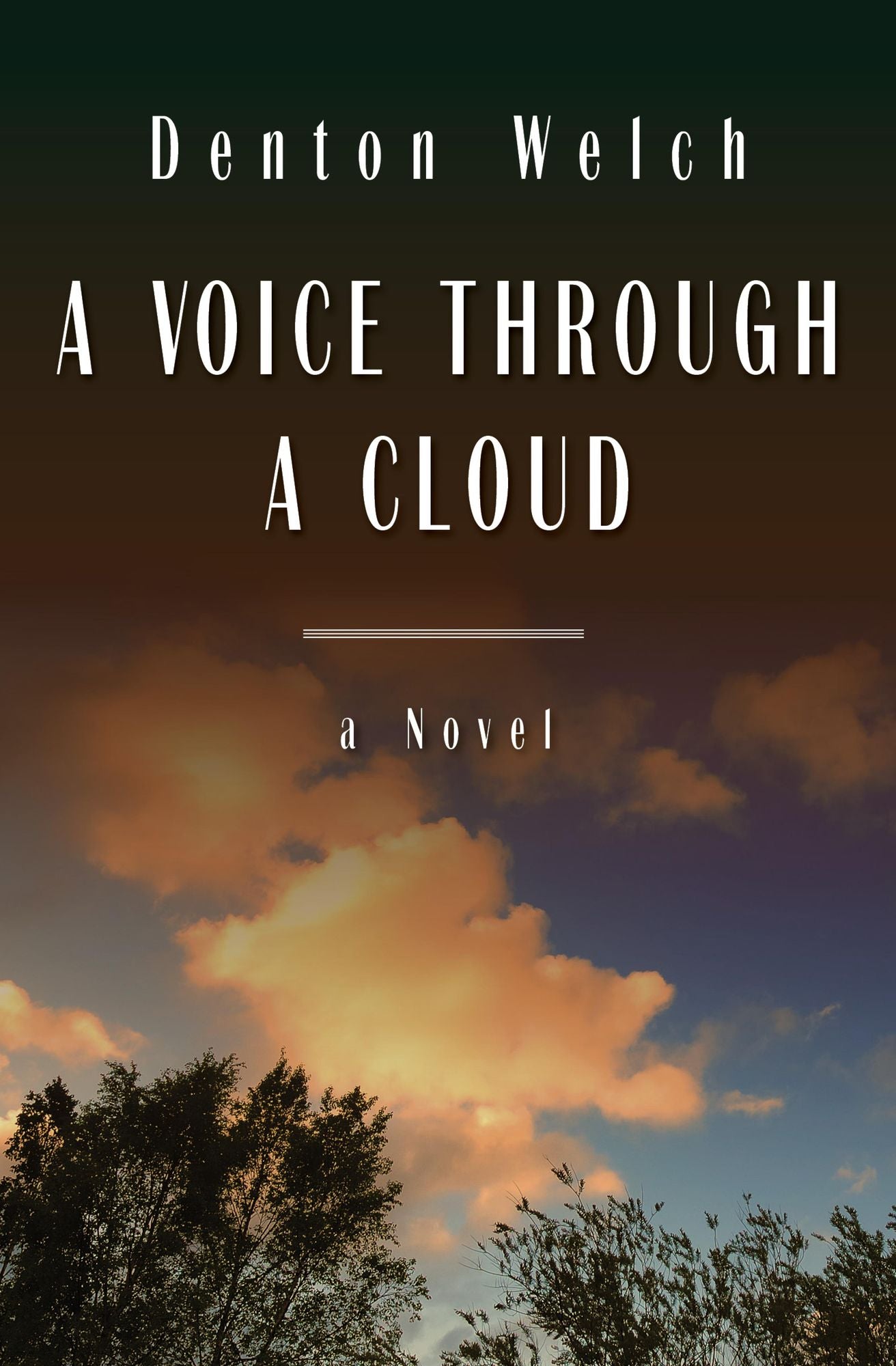 A Voice Through a Cloud: A Novel