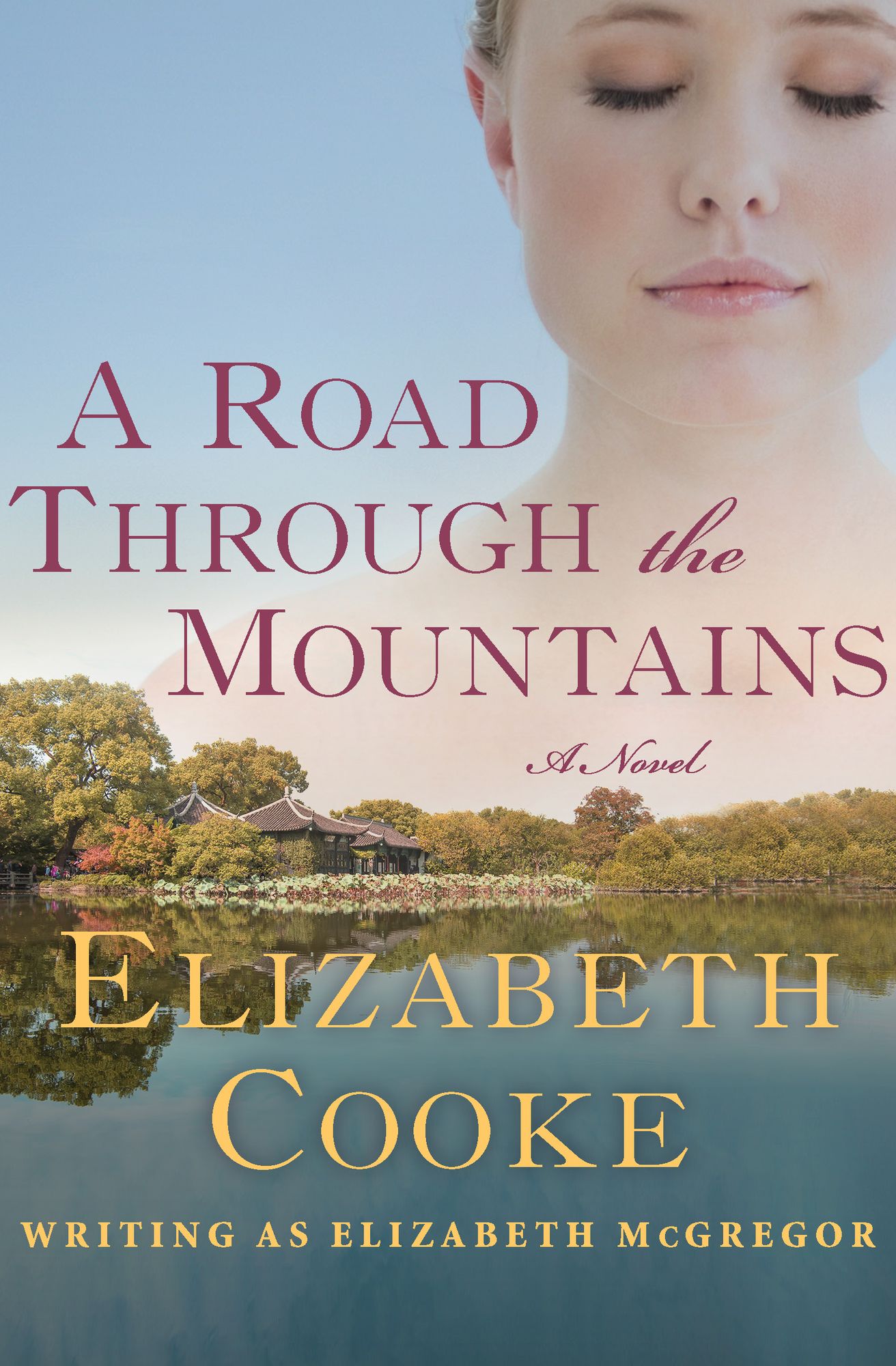 A Road Through the Mountains: A Novel