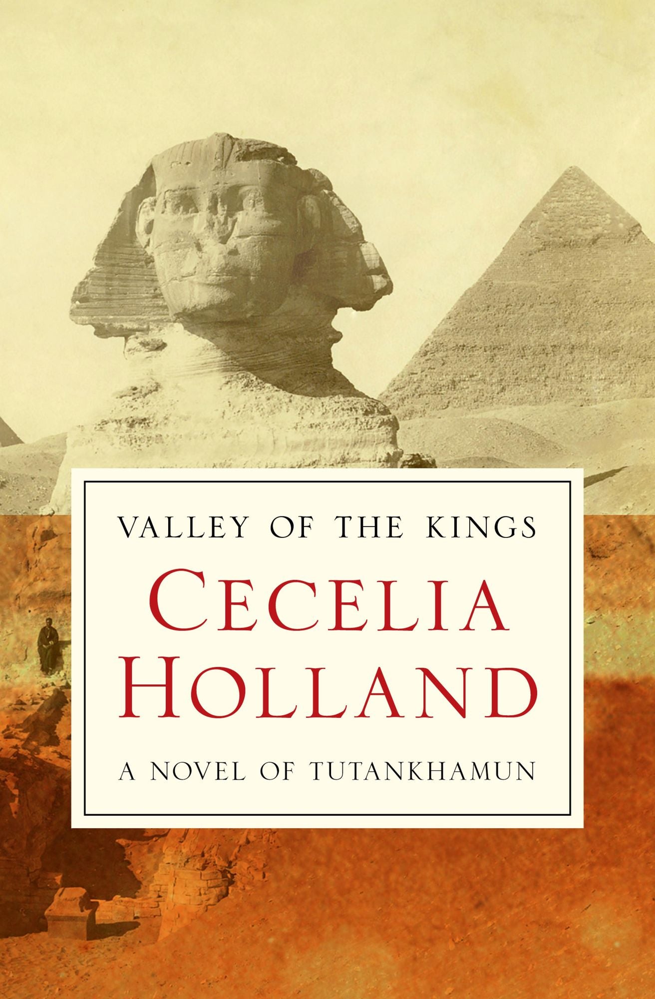 Valley of the Kings: A Novel of Tutankhamun