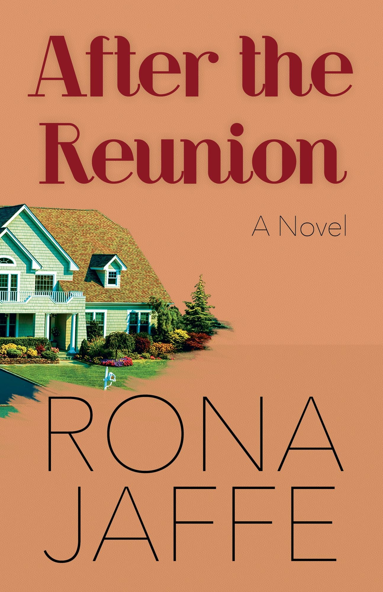 After the Reunion: A Novel