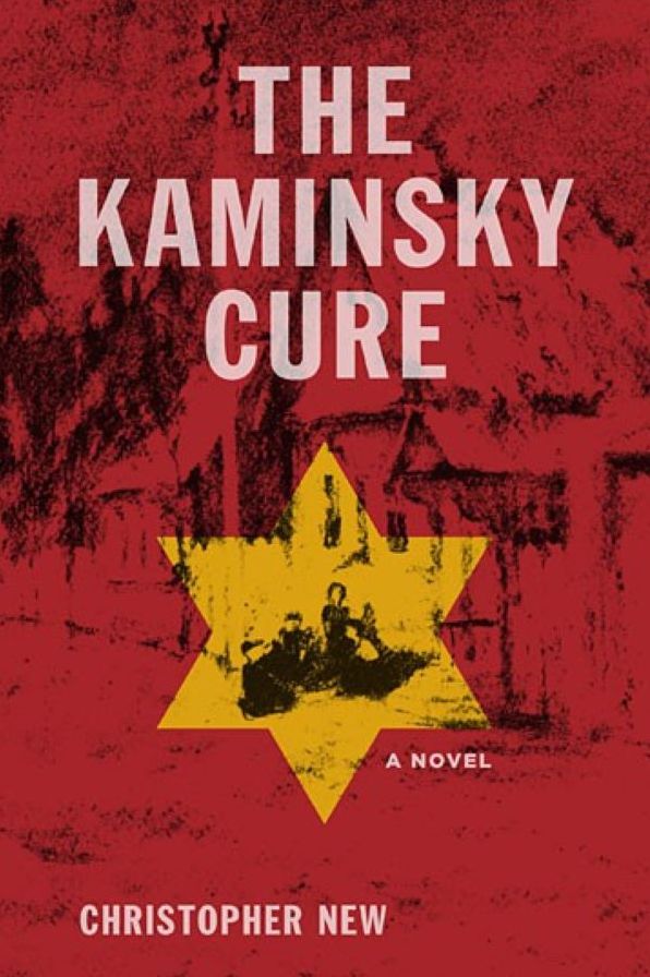 The Kaminsky Cure: A Novel
