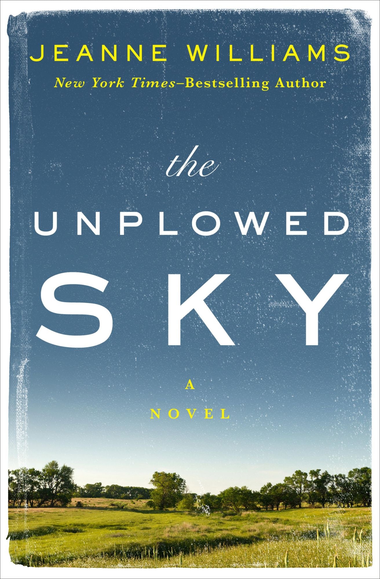 The Unplowed Sky: A Novel