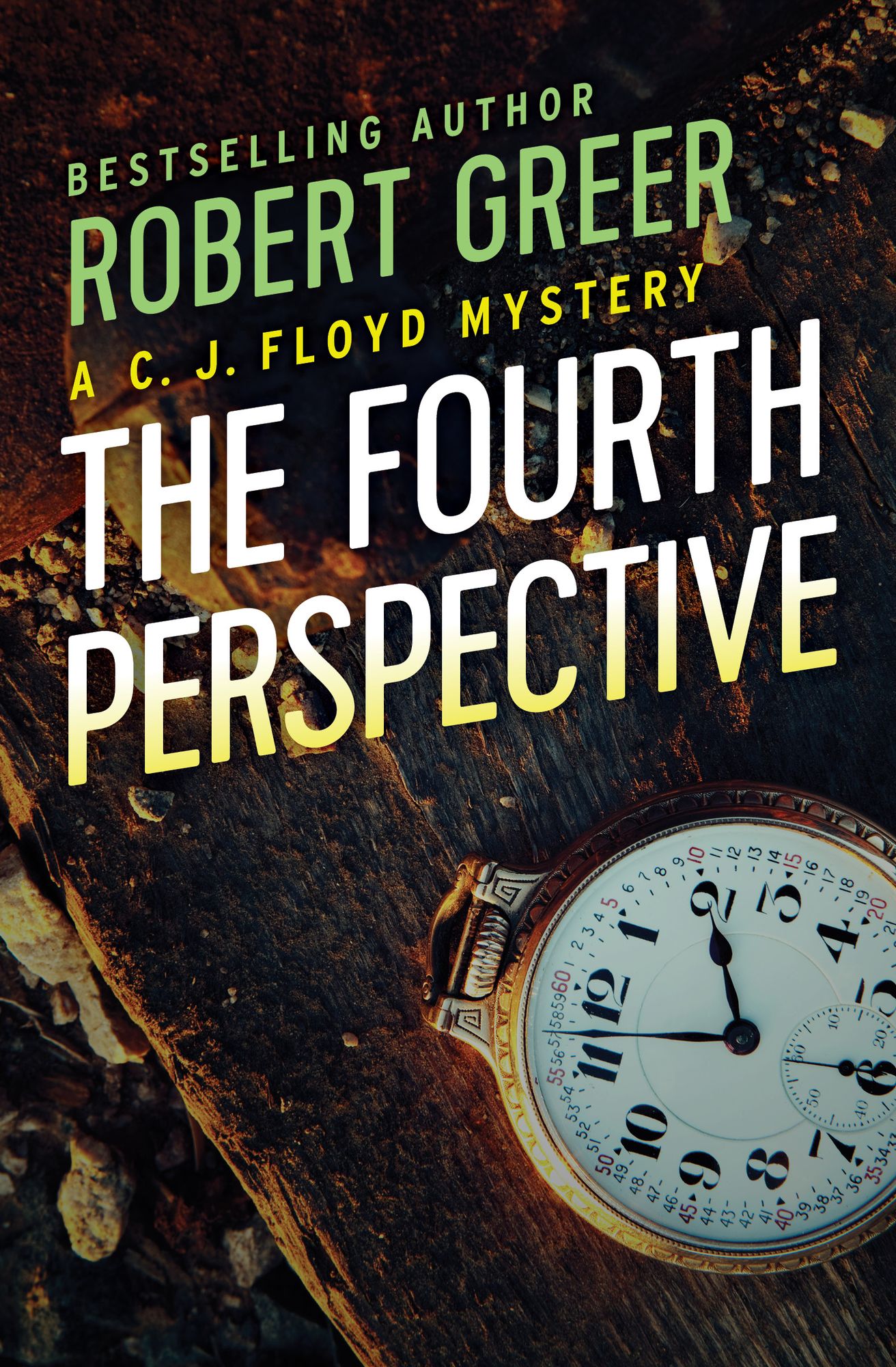 The Fourth Perspective (CJ Floyd Series #5)