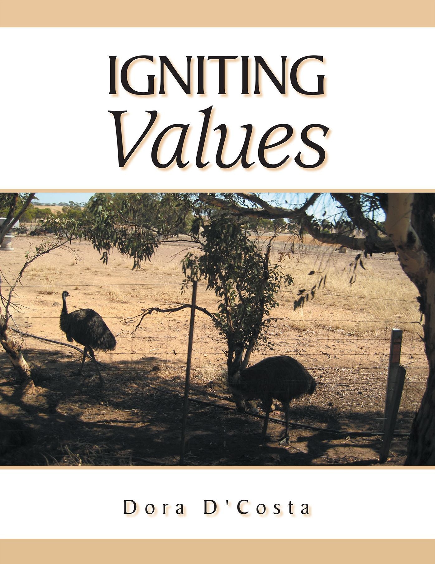 Igniting Values