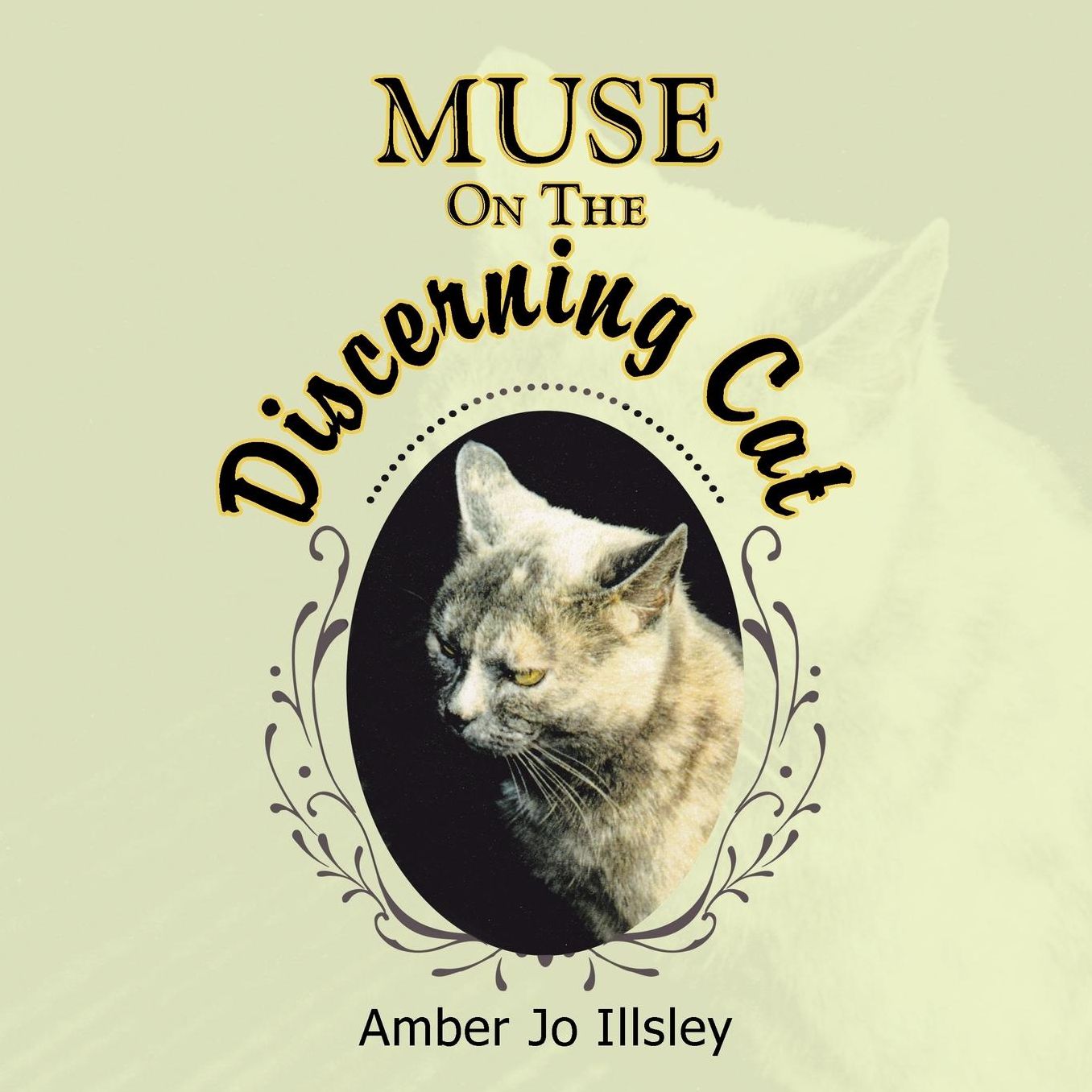 Muse On The Discerning Cat