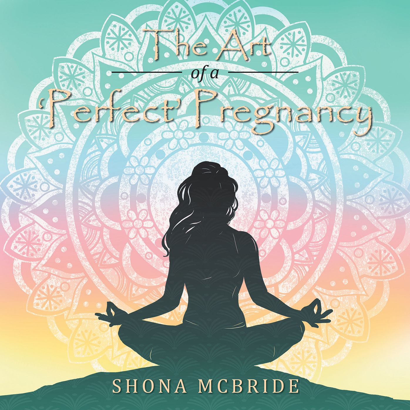 The Art of a Perfect Pregnancy