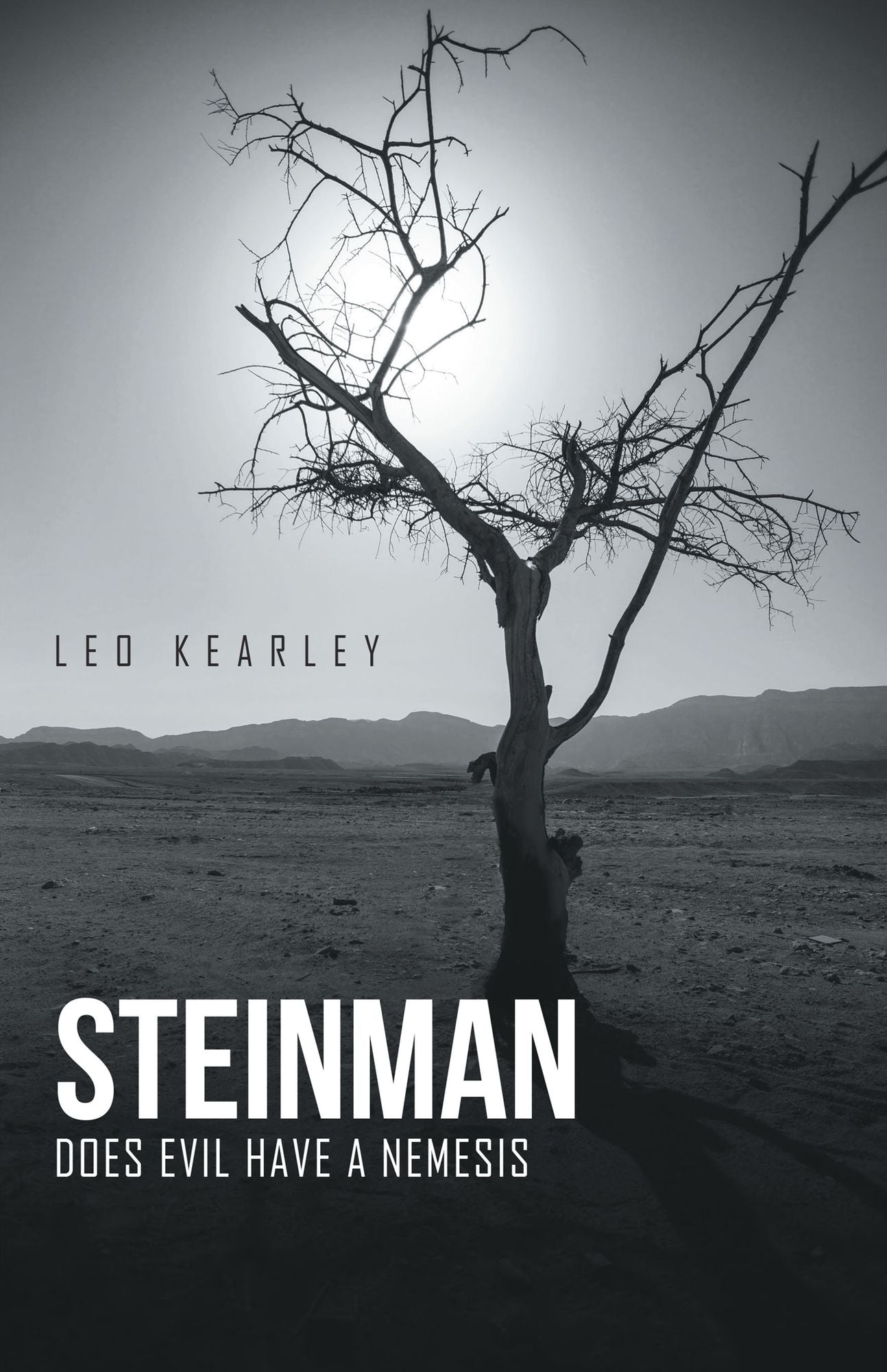 Steinman: A Novel