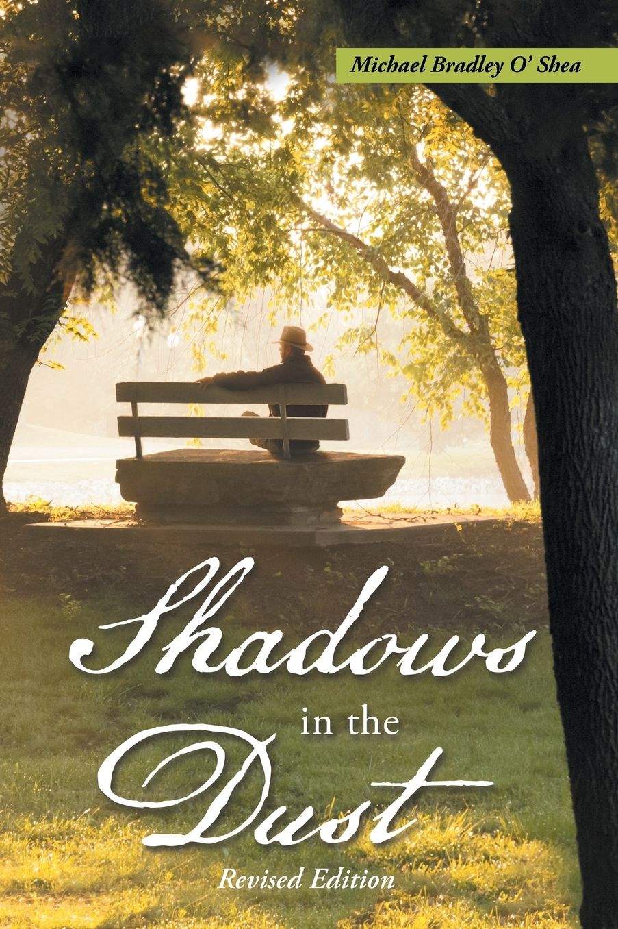 Shadows in the Dust: Revised Edition
