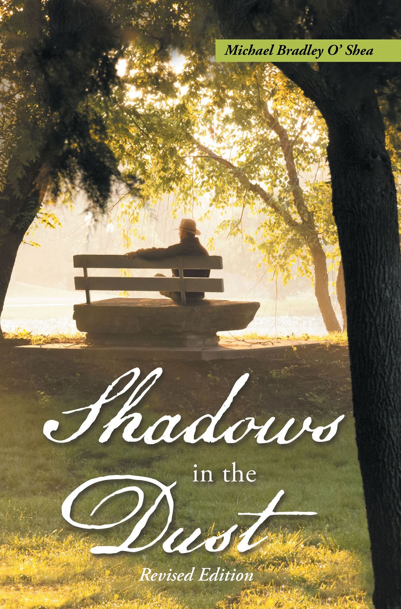 Shadows in the Dust: Revised Edition