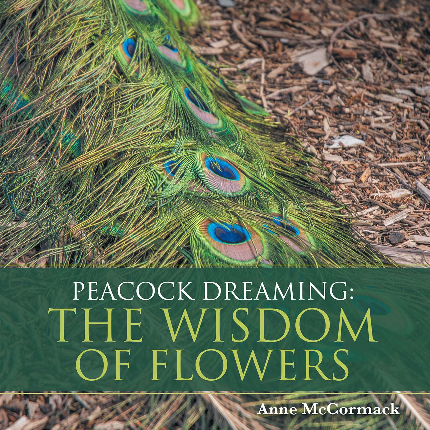 Peacock Dreaming: The Wisdom of Flowers