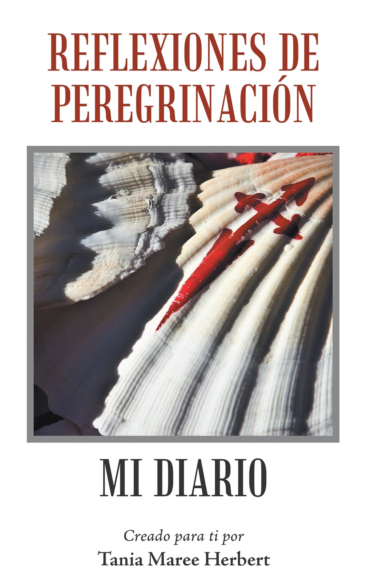 Reflexiones de Peregrinación: Mi Diario