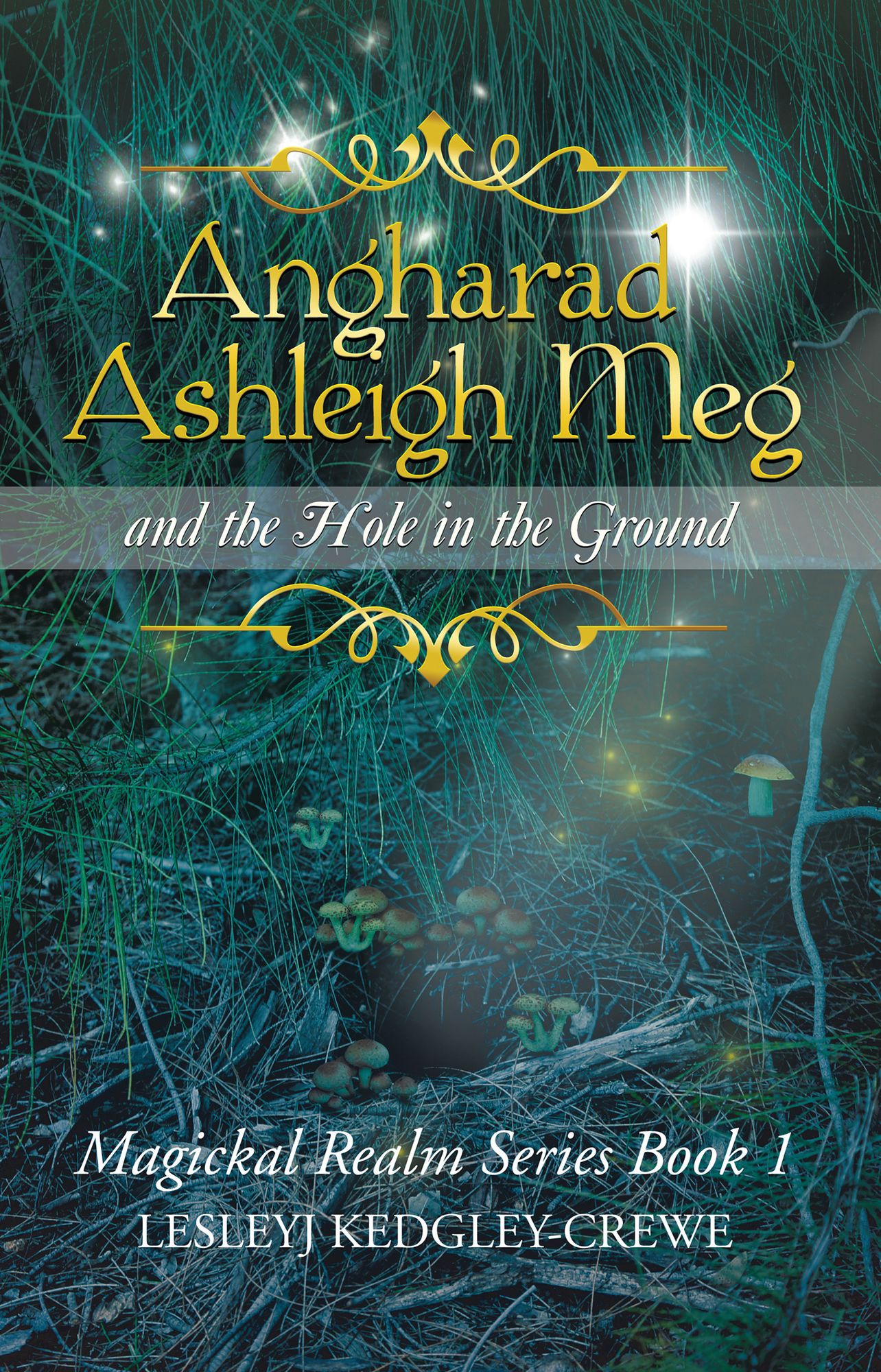 Angharad Ashleigh Meg and the Hole in the Ground: Magickal Realm Series Book 1