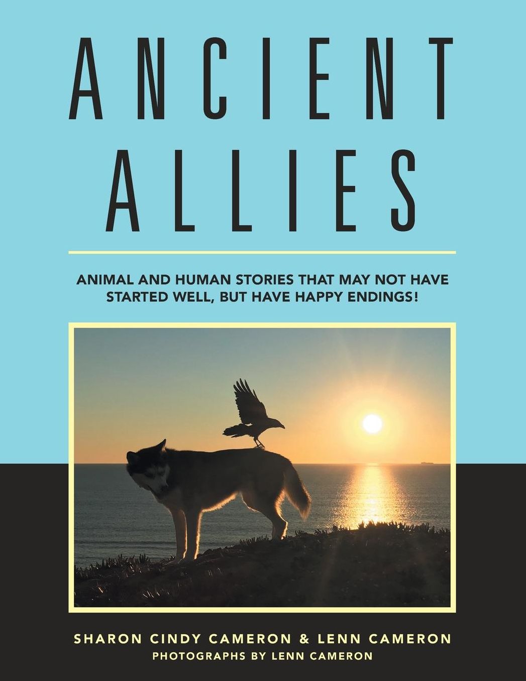 Ancient Allies: Animal stories that may not have started well, but have happy endings.