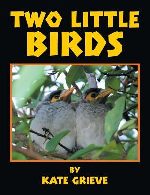 Two Little Birds