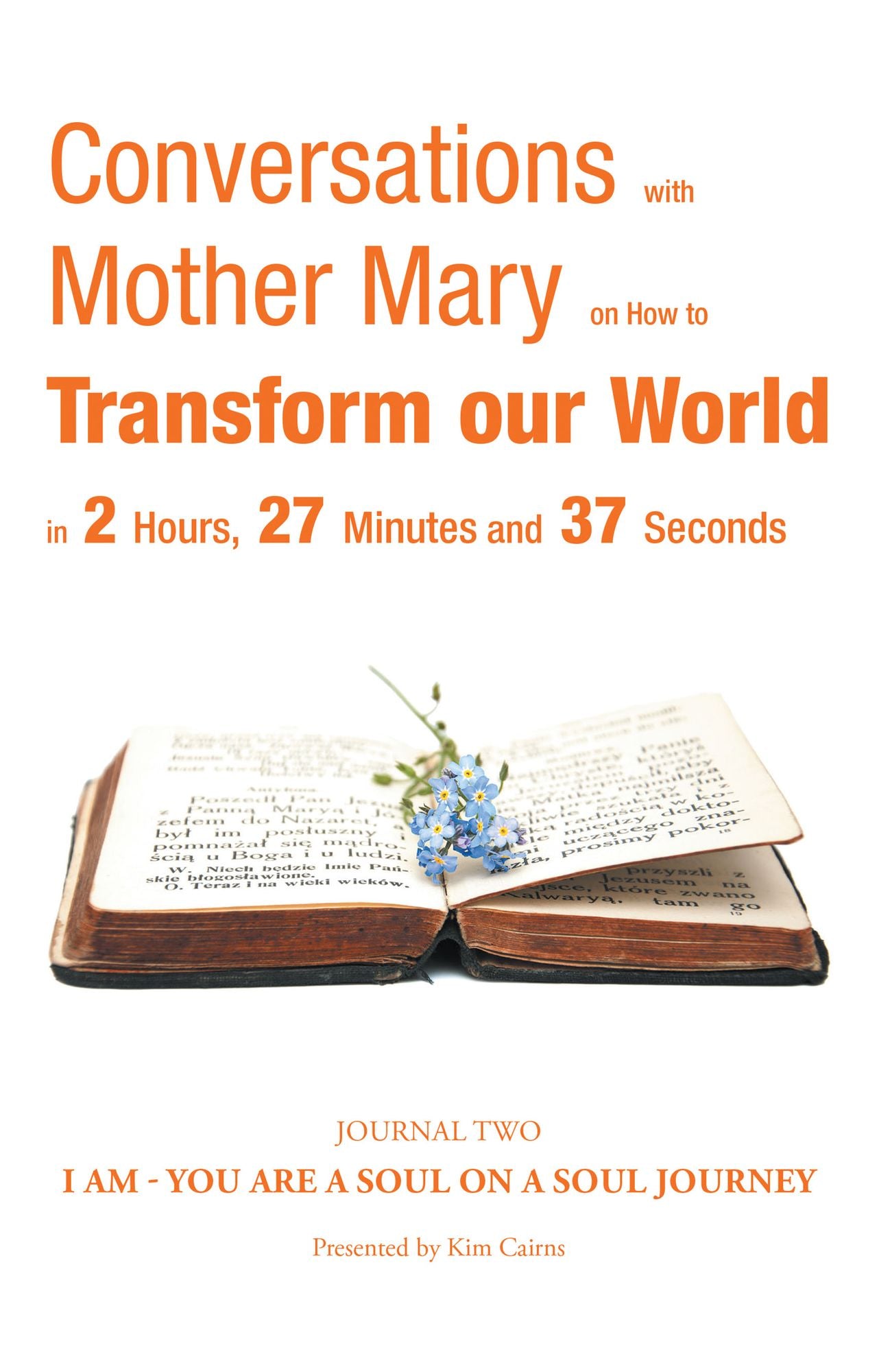 Conversations with Mother Mary on How to Transform Our World in 2 Hours, 27 Minutes and 37 Seconds: Journal Two I Am - You Are a Soul on a Soul Journey