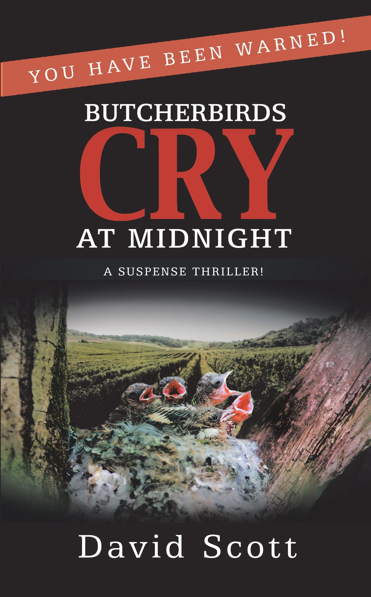 Butcherbirds Cry at Midnight