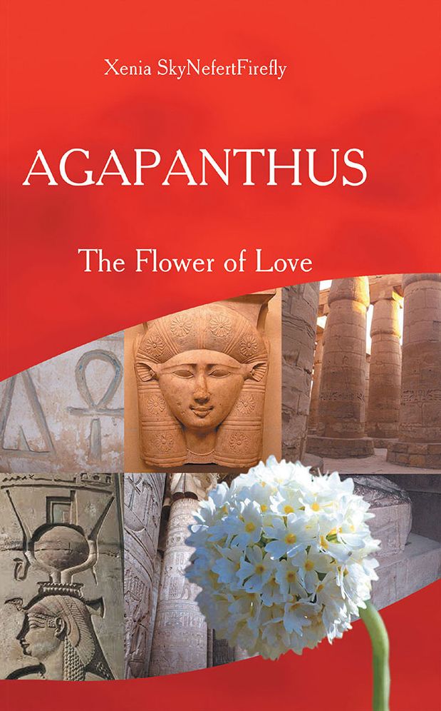 Agapanthus: The Flower of Love